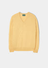 Men's Lambswool Vee Neck Jumper in Yellow - Classic Fit